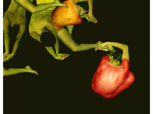  ģ⻨