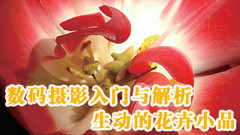 Ӱݾѡ