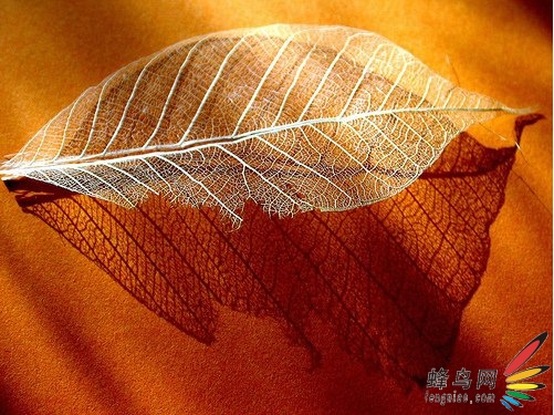 阴影的利用 阴影的利用