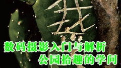Ӱݾѡ