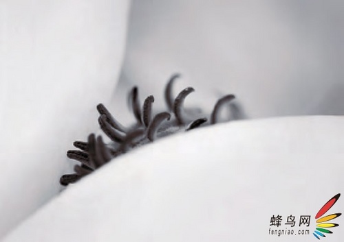 ż뵥ʵָ ڰյļ