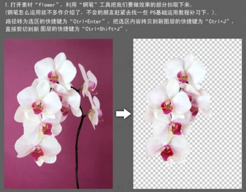Photoshop合成纯白的牛奶花朵图片 Photoshop合成纯白的牛奶花朵图片