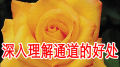 Photoshop Labɫʥ䡷ݾѡ