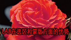 Photoshop Labɫʥ䡷ݾѡ
