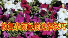 Photoshop Labɫʥ䡷ݾѡ