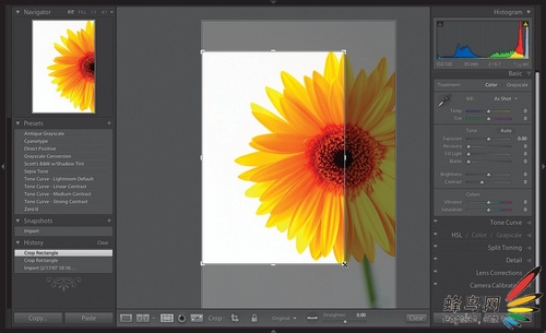 PS Lightroom-У