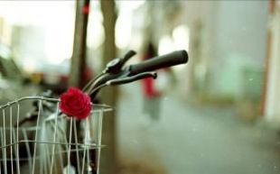 Canon A-1 / FD 50mm F1.4 / 光圈优先/ Kodak Portra 160NC