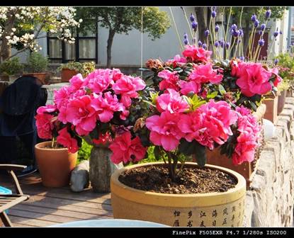 用富士FinePix 505EXR把世界装进口袋里