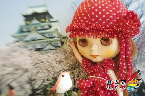 港范潮拍 Figure、Gadget 港范潮拍 Figure、Gadget