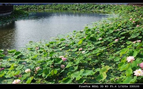 FinePix 3D W3 帮我圆一个3D梦