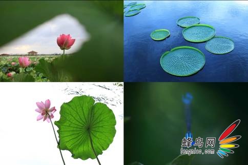 「感动」江南灵秀 「典藏」苏州魅力 「感动」江南灵秀 「典藏」苏州魅力